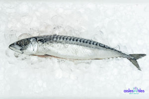 
            
                Load image into Gallery viewer, Fresh Wild Caught Saba Fish - 1KG 沙巴鱼
            
        