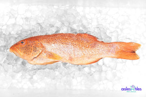 
            
                Load image into Gallery viewer, Fresh And Wild Caught Red Grouper Fish - 1KG l 新鲜红斑鱼
            
        