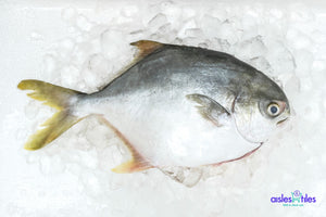 
            
                Load image into Gallery viewer, Fresh Whole Golden Pomfret Fish (450g) l 金鲳
            
        