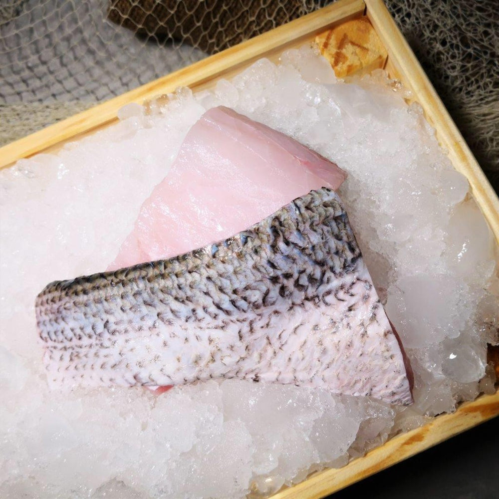 Fresh Wild Caught Whole Threadfin Fish - 1.5KG l 午鱼