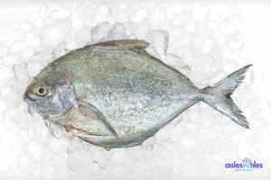 
            
                Load image into Gallery viewer, Fresh Whole Black Pomfret - 450g l 黑鲳
            
        