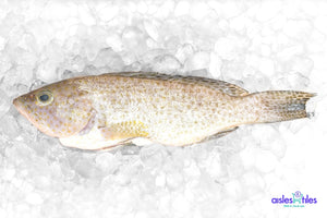 
            
                Load image into Gallery viewer, Fresh Whole Flower Grouper - 450g l 花斑
            
        
